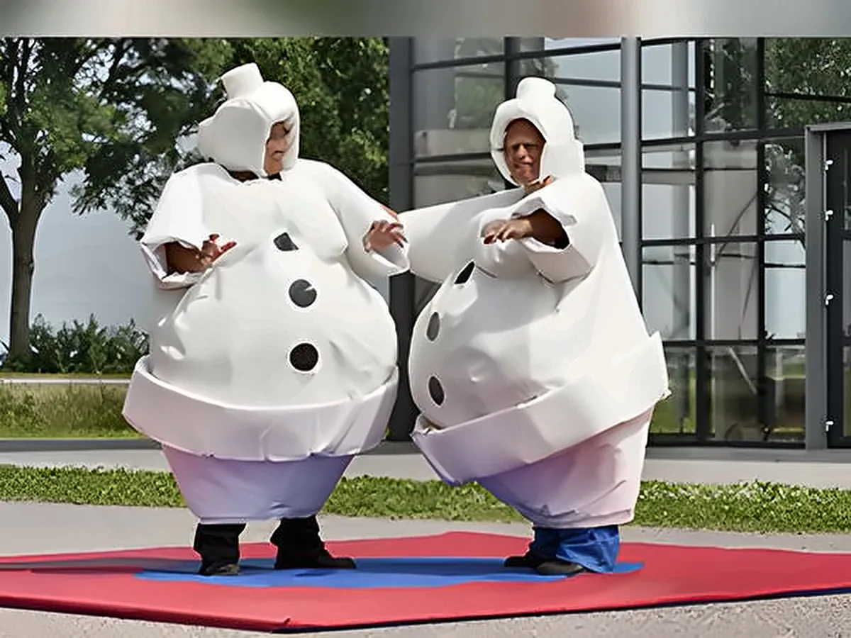 Sumo Hiver – location jeux d'hiver et de Noël en Île-de-France, France Gonflable