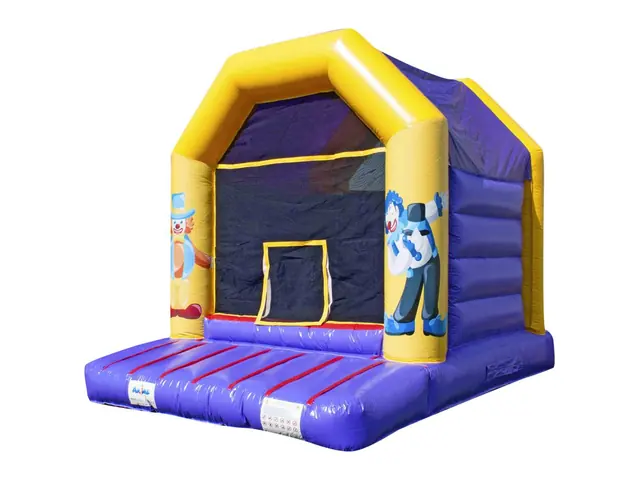 Circus Ball – Piscine à boules – location châteaux gonflables en Île-de-France
