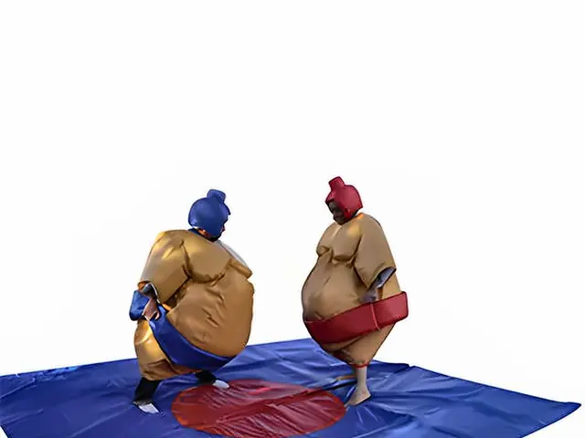 Sumo adultes – location jeux sportifs et défis en Île-de-France