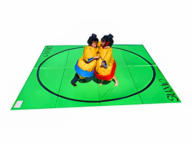 Sumo enfants – location jeux sportifs et défis en Île-de-France